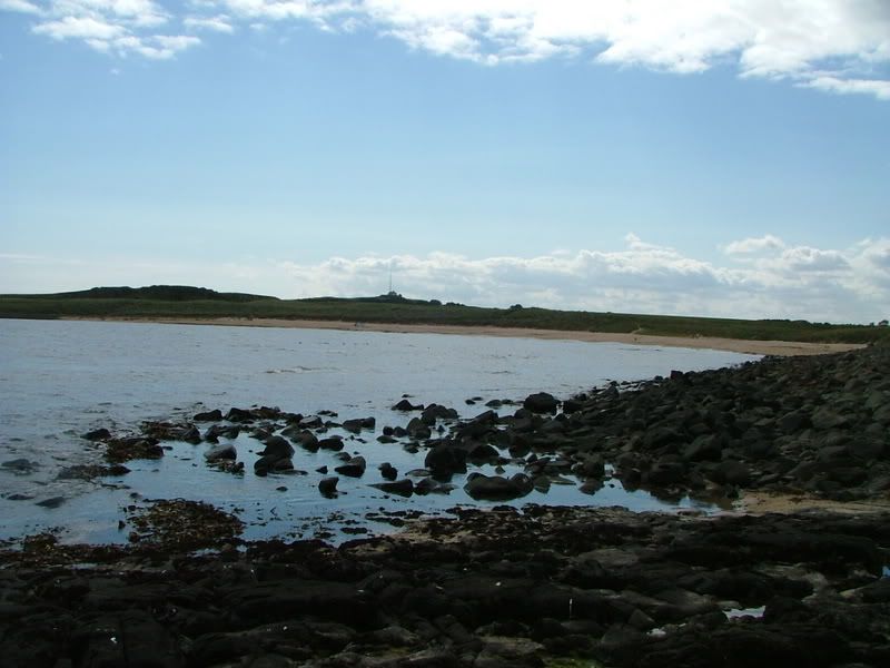 satfishing89.07026.jpg