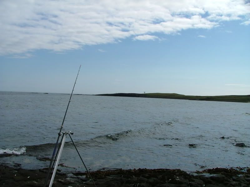 satfishing89.07028.jpg