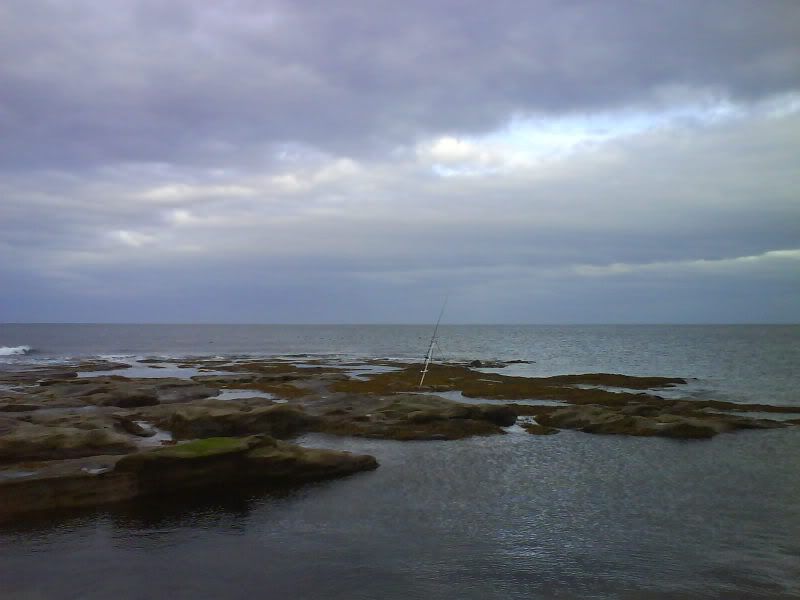 seahouses009.jpg