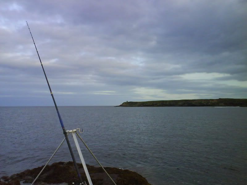 seahouses012.jpg