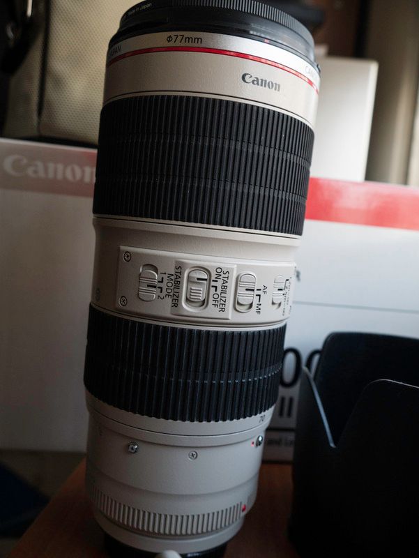 IMAGE: http://i22.photobucket.com/albums/b333/awalzem/20160219-P1170123.jpg