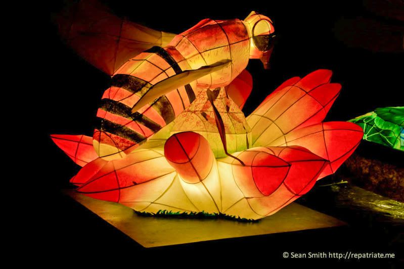 IMAGE: http://i22.photobucket.com/albums/b333/awalzem/redo4.jpg