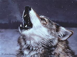 howling-wolf.jpg