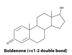 Boldenone effect on liver
