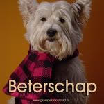 beterschap.jpg