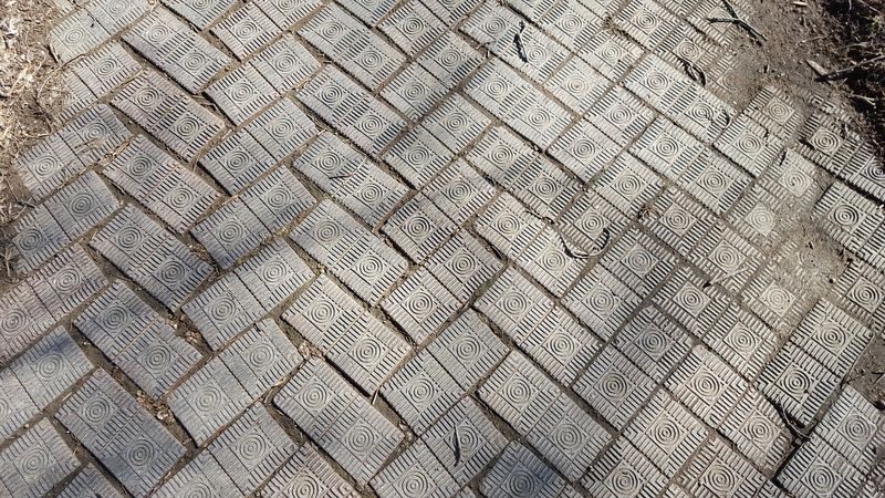 20160220_115650.jpg