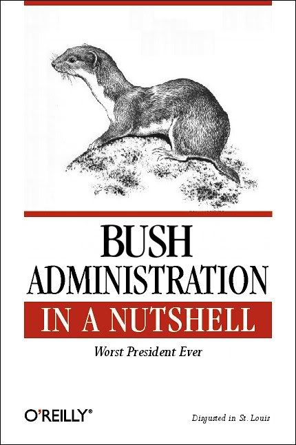 Bush Administration in a Nustshell