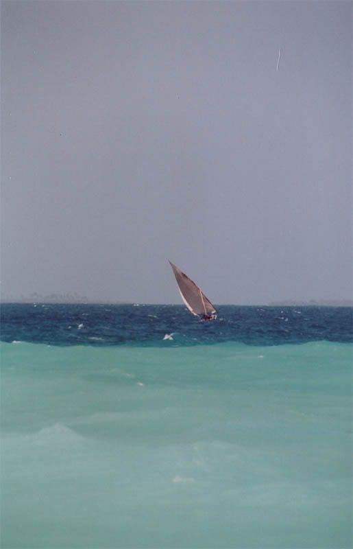 http://i22.photobucket.com/albums/b335/hardywang/Tanzania/Zanzibar/nungwi05.jpg