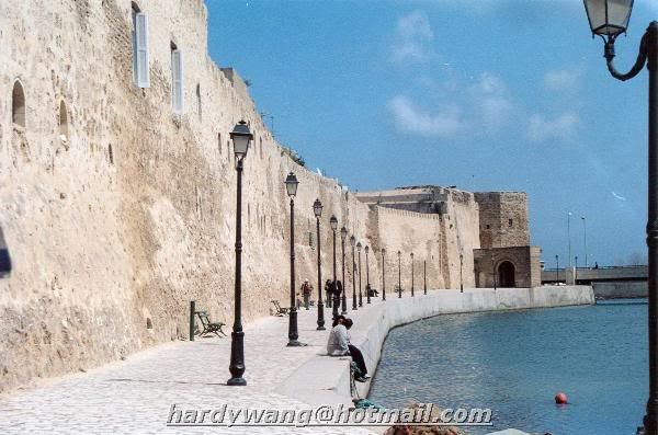 http://i22.photobucket.com/albums/b335/hardywang/Tunisia/Bizerte/kasbah_02.jpg