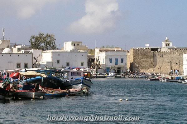 http://i22.photobucket.com/albums/b335/hardywang/Tunisia/Bizerte/old_port_02.jpg