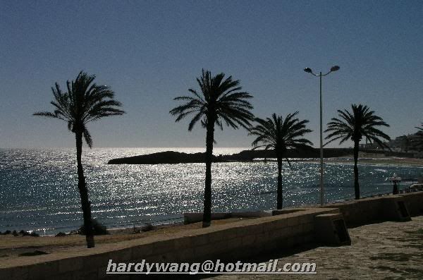 http://i22.photobucket.com/albums/b335/hardywang/Tunisia/Monastir/03.jpg