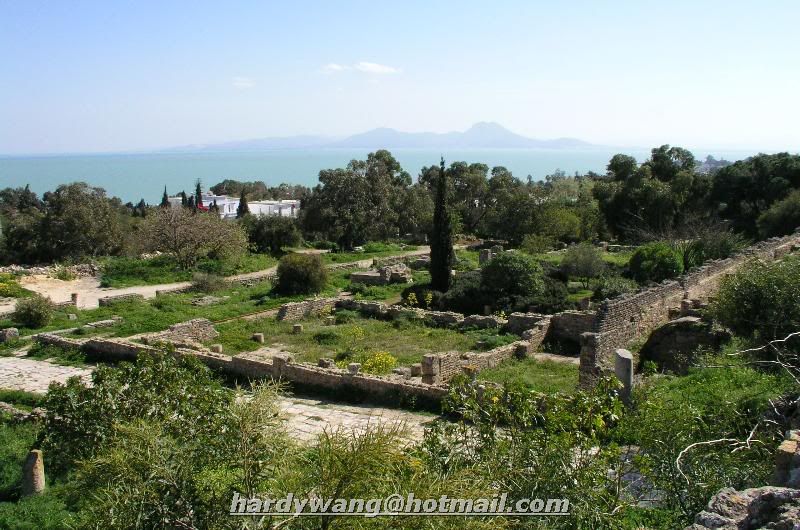 http://i22.photobucket.com/albums/b335/hardywang/Tunisia/Tunis/Carthage/Roman_Villas_02.jpg