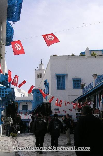 http://i22.photobucket.com/albums/b335/hardywang/Tunisia/Tunis/Sidi%20Bou%20Said/003.jpg