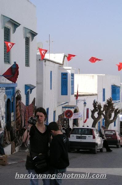 http://i22.photobucket.com/albums/b335/hardywang/Tunisia/Tunis/Sidi%20Bou%20Said/004.jpg