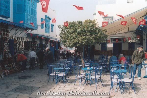 http://i22.photobucket.com/albums/b335/hardywang/Tunisia/Tunis/Sidi%20Bou%20Said/013.jpg