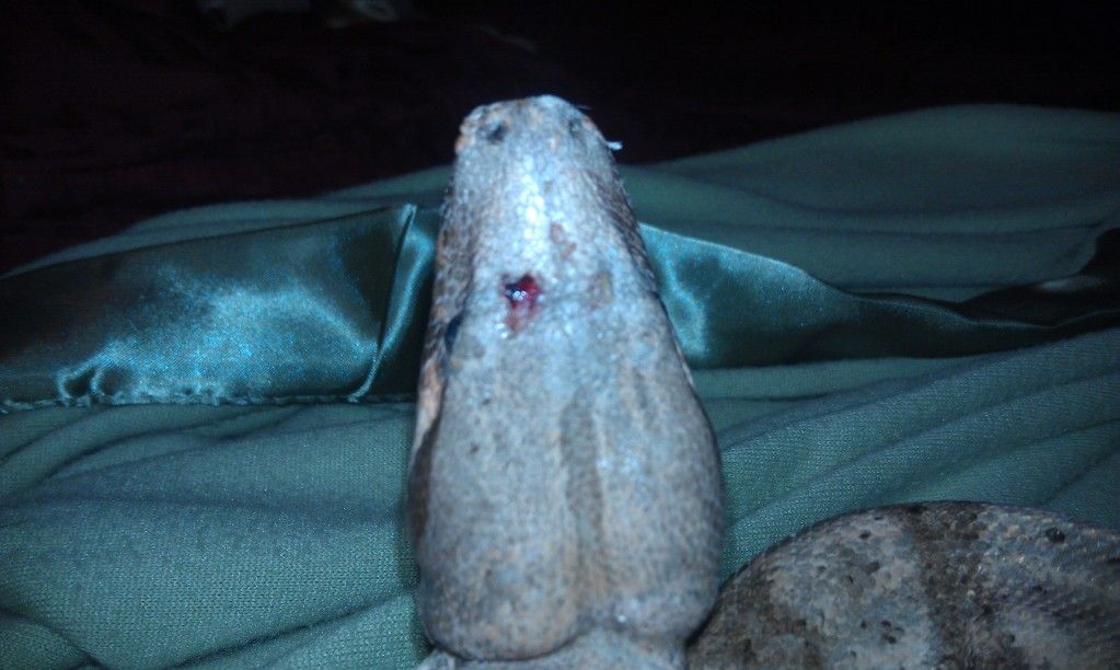 IMAG0450.jpg