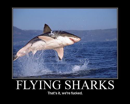 flyingsharks.jpg