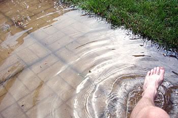 Splish splash, I was arrested for indecently taking a bath in my backyard.