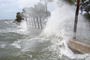 Splish splash. Hurricane Gustav 'waves' hello to St. Petersburg.