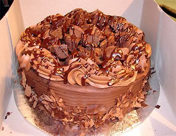 Choco-fudge-brownie-diarrhea extreme cake.