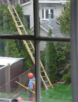 My Word, mister cable guy, that's a large pole you have there.