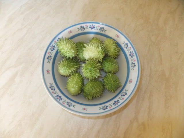DSCF1083.jpg