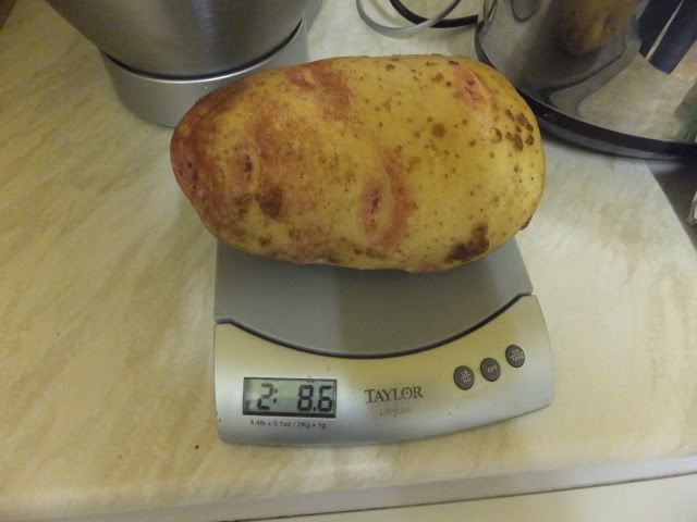 DSCF3031.jpg