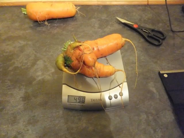DSCF4812.jpg