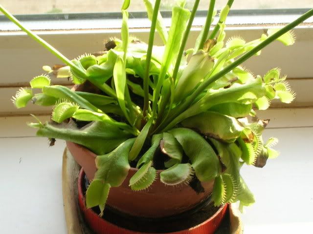 DSCN0261.jpg