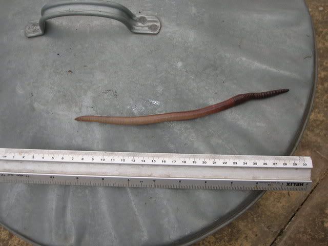 DSCN0676.jpg
