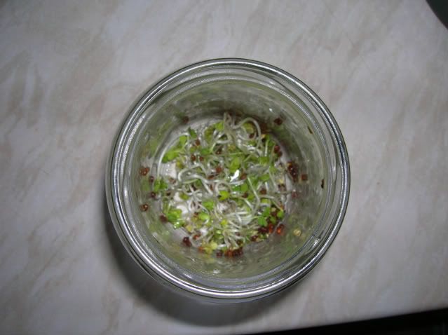 DSCN0924.jpg