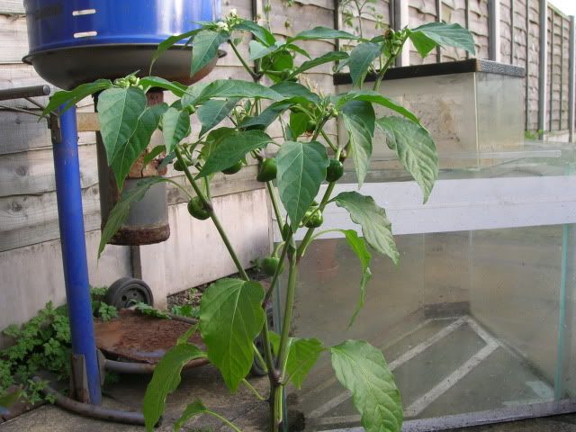 DSCN1090.jpg