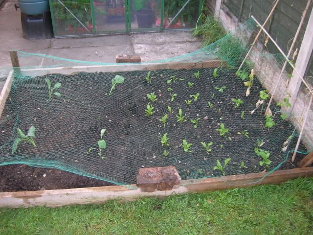 DSCN1098.jpg