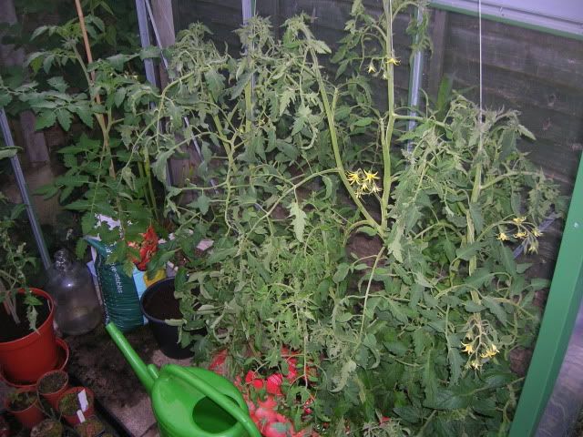 DSCN1099.jpg