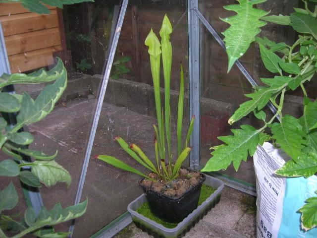 DSCN1103.jpg