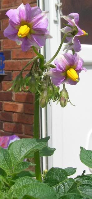 DSCN1105.jpg