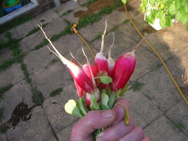 DSCN1129.jpg