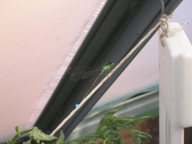 DSCN1137.jpg