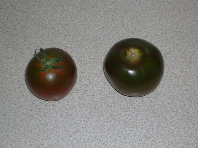 DSCN1140.jpg