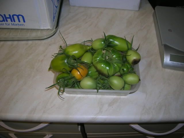 DSCN1142.jpg