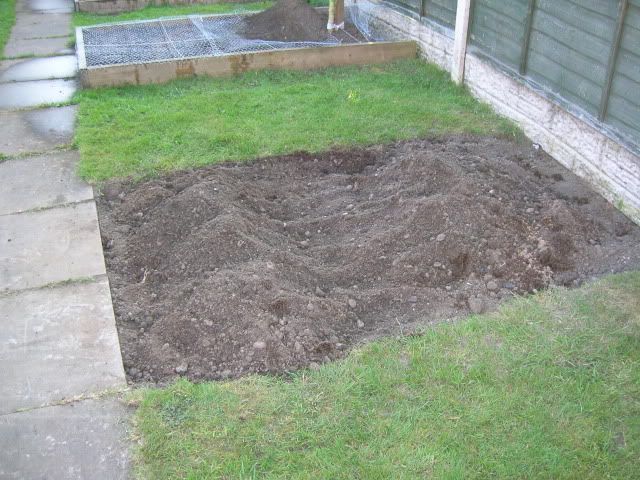 DSCN1154.jpg