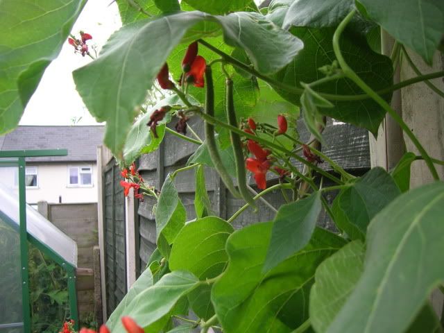 DSCN1166.jpg