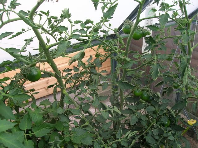 DSCN1175.jpg