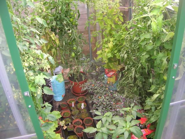 DSCN1176.jpg