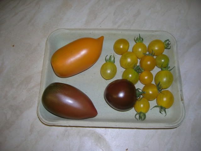 DSCN1187.jpg