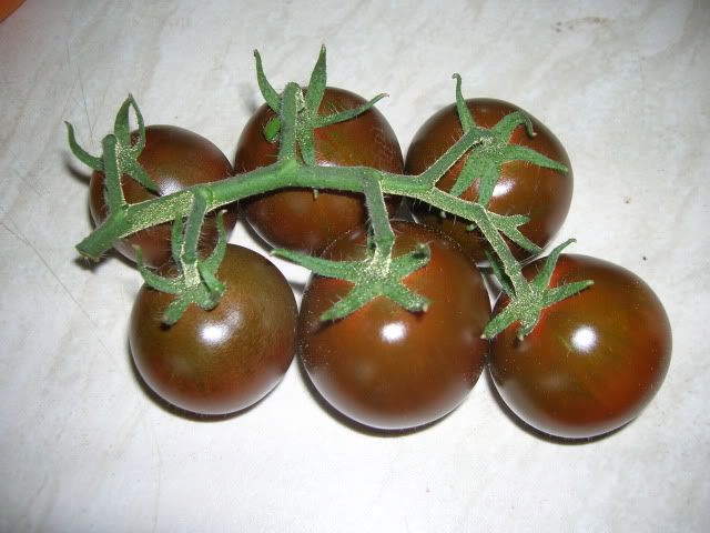 DSCN1197.jpg
