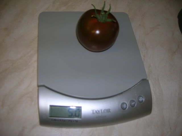 DSCN1205.jpg
