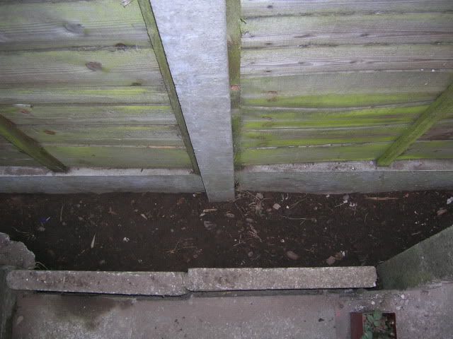 DSCN1217-1.jpg