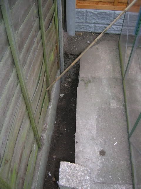 DSCN1218-1.jpg