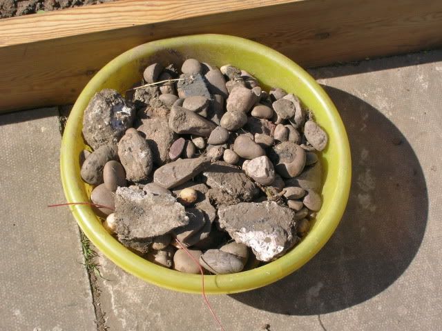DSCN1253.jpg